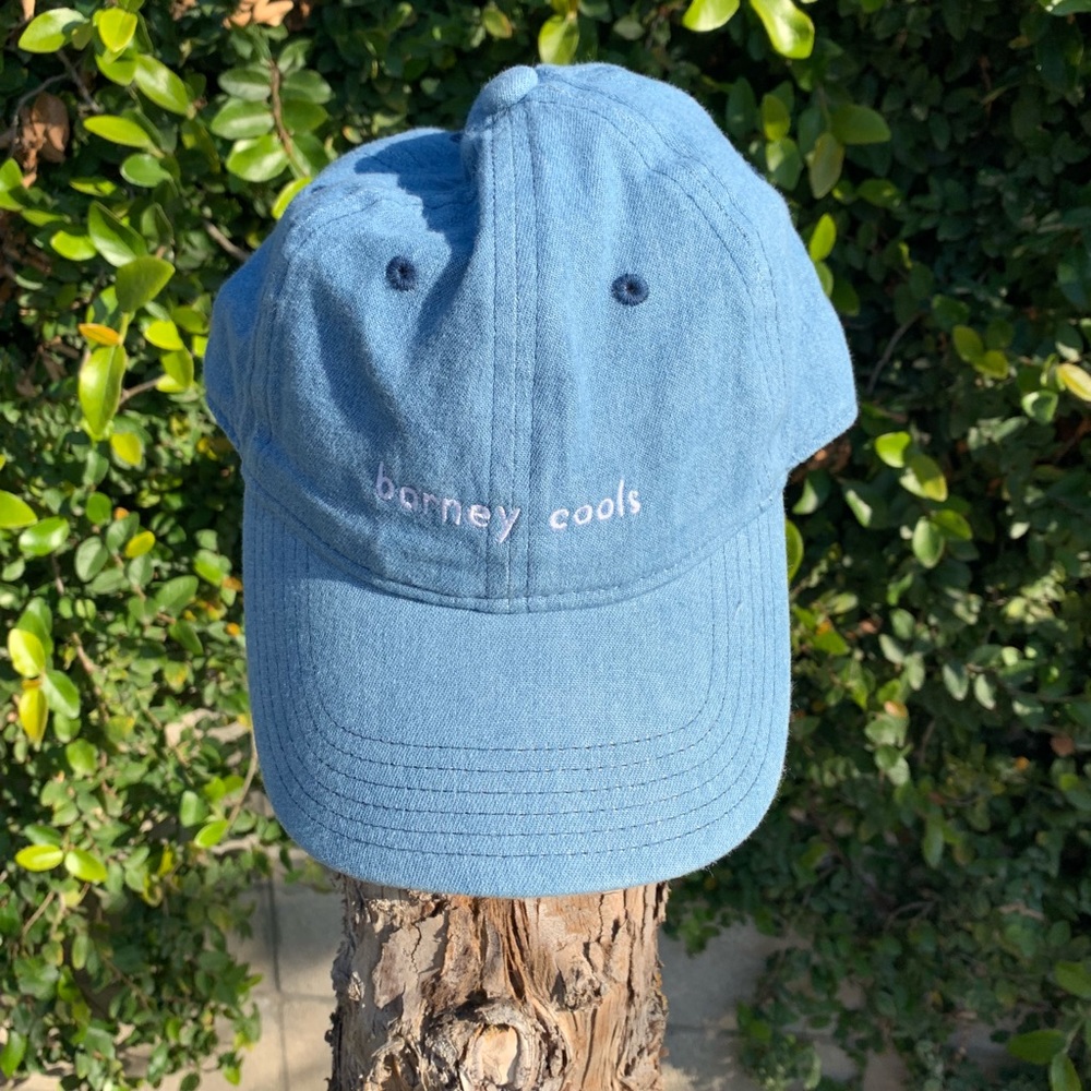 Barney Cools dad hat unisex